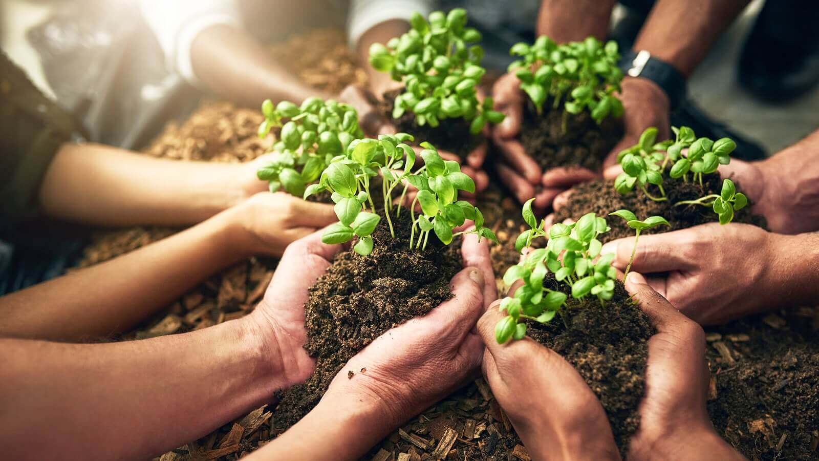 Advokaadibüroo PwC Legal Eesti 2020. aasta kaalukamad projektid